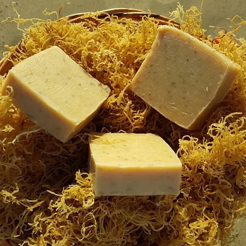 Sea Moss & TeaTree Soap